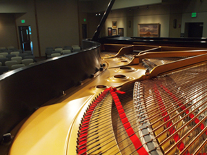 Twin Falls Center For the Arts